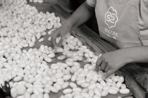 �vʹ�q�������X���ʐ�����������D