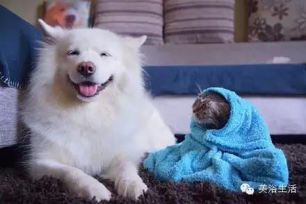 美浴生活:毛巾可以將就,毛巾也可以講究!