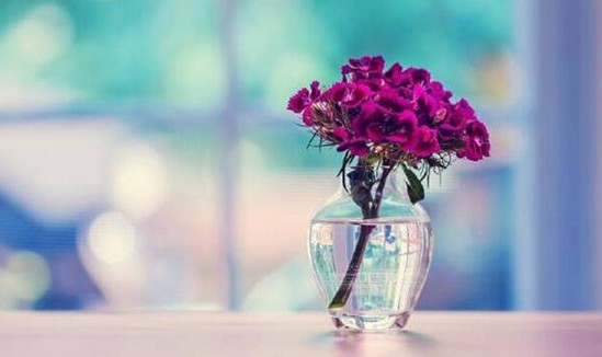 ���_�m�Ҽ���������������z��˲�g�������Ử�ڻ�