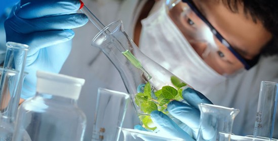 紫羅蘭家紡:森呼吸,凈睡眠—被窩里的小森林