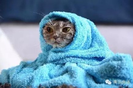 美浴生活:毛巾可以將就,毛巾也可以講究!