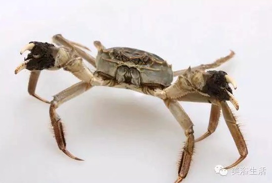 ��ԡ����Â���Ĵ��lз��з�S��ʳ��зȯ������з��������ë����