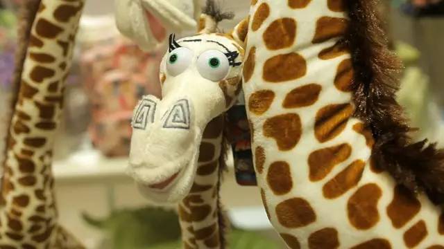 �L(f��ng)�Һ��(y��ng)�ĄPʢ�Ҿ������^�µ��_�I(y��)���Ȳ�������ȥ��