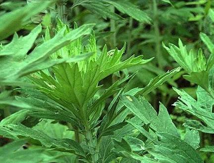 ���ľӼҡ���ٛ���x�Ҽ����������B����