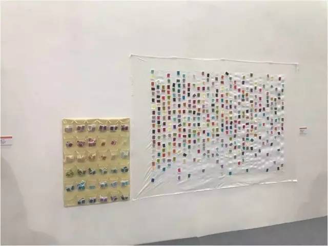 ����ҒҒ�c�c�εΡ���2017�Ї����H�w�Sˇ�gչ�ġ�ۙ�E�����ˌ�ζ