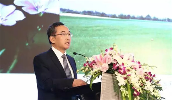 �����׃�����(chu��ng)������δ����2017�Ї����������Ϻ����_