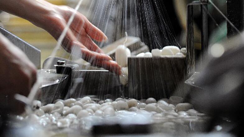 夕禾絲綢學(xué)堂之蠶絲被的制作