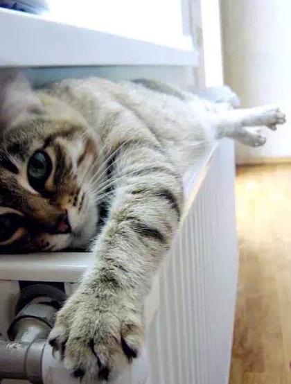 夕禾絲綢學堂——被說