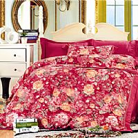 �������x