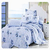 �L(f��ng)�ŵ���(�m)Y-001�{(l��n)