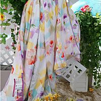 �������w�ı�1