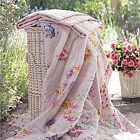 ��Ϫ�����w�S�ı�--���ı�