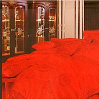 �\�C���A����t��