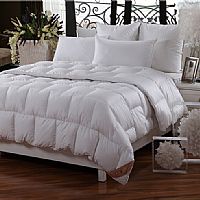 ���Ş����m����Z�q��