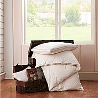 �����Z�Z�q����1