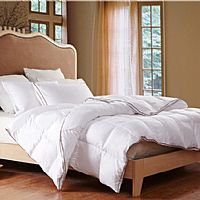 ����˹�Z�q��