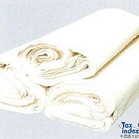 ȫ������