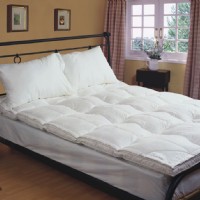 �p����q���|