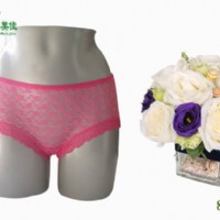 竹纖維新款女士內褲