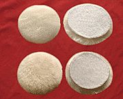 �� ��(y��ng)���ܶ���ë�� ����݆ ����ë�� ��