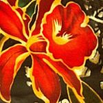 ᘿ����޲�