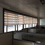 �ἆ������