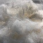 �Ϻ����D(zhu��n)��ӡ�����]ӯ�����Ϻ���(y��u)�|(zh��)Ů�b